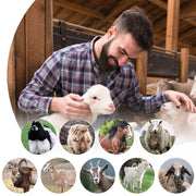 550W Profi - Schafschermaschine – Verstellbare Tierhaarschneidemaschine für Schafe & Hunde mit dickem Fell