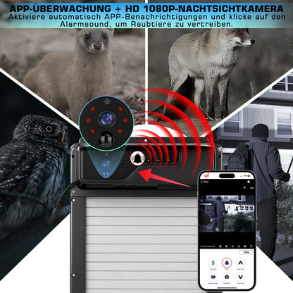 Automatische Solar - Hühnerstalltür mit 1080P Kamera und App Steuerung