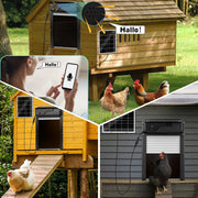 Automatische Solar - Hühnerstalltür mit 1080P Kamera und App Steuerung