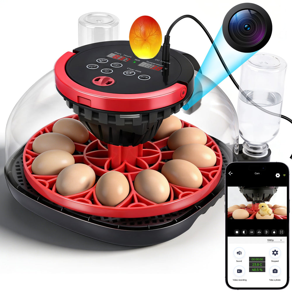 12-egg incubator with camera app control, automatic chicken and quail egg hatching machine, temperature and humidity control