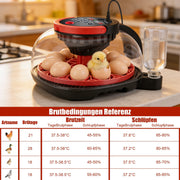 Brutgerät 12 Eier mit Kamera App Steuerung Inkubator automatisch Hühner Wachtel Eier Brutmaschine Temperatur Feuchtigkeit Kontrolle