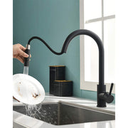 XIIW Spültischarmatur Mischbatterie | Ausziehbar| Hochdruck | mit Brause | 2 Strahlarten | 360° | Einziehbarer Schlauch